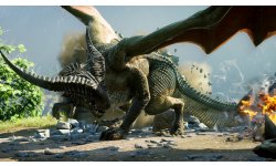 Dragon Age Inquisition 22.04.2014 (2)