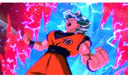 Dragon Ball FighterZ images Edition Switch (6)