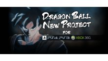 Dragon Ball New Project PS4 PS3  Xbox 360 21.05.2014  (1)