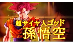 Dragon Ball Xenoverse 29.01.2015