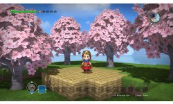 Dragon Quest Builders 20 07 2016 bonus screenshot (6)