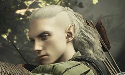 Dragon's Dogma 2 21 29 11 2023