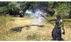 Dragon's Dogma Online 05 04 2015 screenshot 12