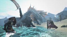 Dragon's Dogma Online monstres images 11