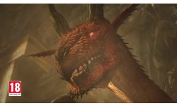 Dragons Dogma Dark Arisen vignette 14 03 2019