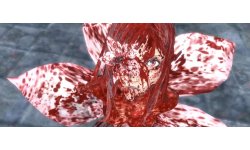Drakengard 3 17.12.2013.