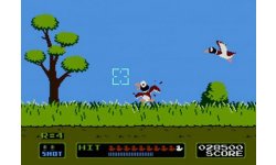 duck hunt