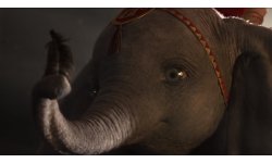 Dumbo vignette 06 02 2019