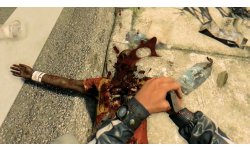 Dying Light 26.01.2015