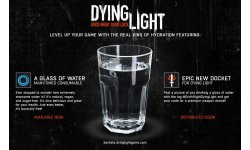 Dying Light campagne eau.jpg large