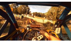 Dying Light The Following head