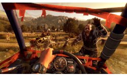 Dying Light The Following image screenshot 5