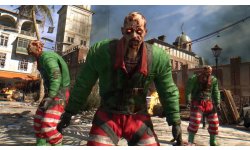 Dying Light winter head