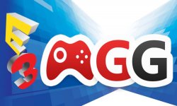E3 2015 sondage 2