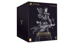 E3 2016 Horizon Zero Dawn collecor jaquette