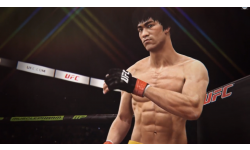 EA Sports UFC Bruce Lee gameplay