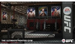 EA Sports UFC gym