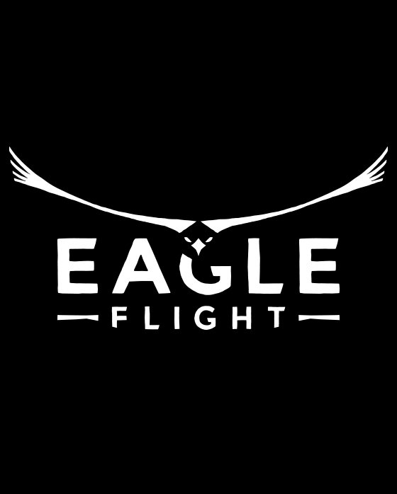 eagle-flight-game_info-boxart-560x698-v2_Tablet_231968