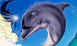 Ecco the Dolphin va faire son retour au travers de plusieurs projets menés par son créateur !