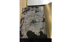Edge 290 22 01 2016 cover