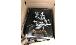 Edition Collector Horizon Zero Dawn images (1)