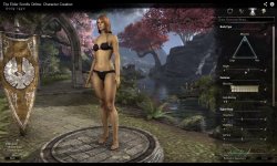 Elder Scrolls Online Creation Personnage