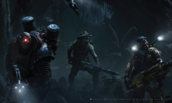 Evolve head