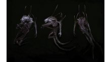evolve-wraith-traqueur- (2)