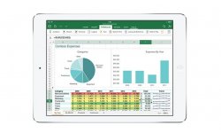 excel ipad