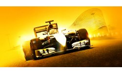 F1 2014 31 07 2014 artwork