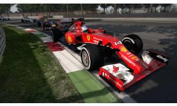 F1 2014 31 07 2014 screenshot (8)
