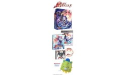 Fairy Fencer F collector 2