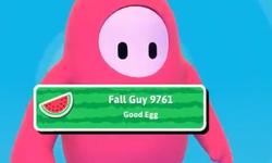 Fall Guys banner nickname head