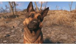 Fallout 4 head
