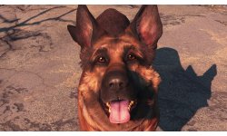 Fallout 4 screenshot
