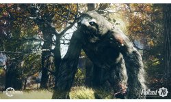 Fallout 76 03 11 06 2018