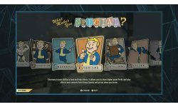 Fallout 76 perks head