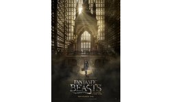 Fantastic Beasts and Where to find them Animaux Fantastiques poster