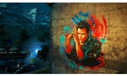 Far Cry 4 c215 3