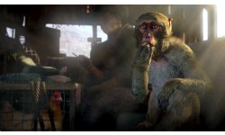 far cry 4 screenshot trailer e3 2014 (6)