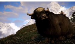 far cry 4