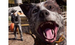 Far Cry 5 mode Photo 5