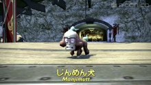 Final-Fantasy-XIV_29-04-2016_pic-YW-cross-over (13)