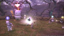 Final-Fantasy-XIV-A-Realm-Reborn-Defenders-of-Eorzea_14-06-2014_screenshot (7)