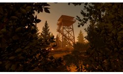 firewatch 7