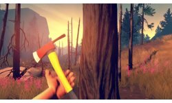 Firewatch head