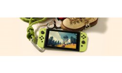 Firewatch Switch Campo Santo