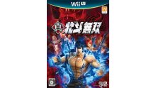Fist of the North wii