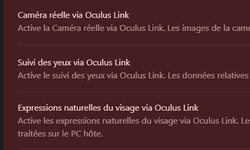 Fonctionnalité Quest Pro Oculus exe