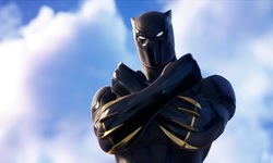 Fortnite Black Panther